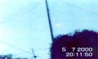 Vallecrosia alta 5/7/2000c